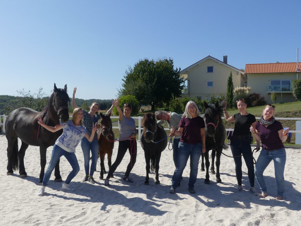 Ausbildung Coaching mit Pferden