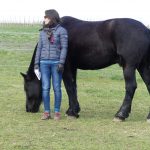 Ausbildung Pferdegestütztes Coaching