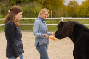 coaching mit pferd reitplatz