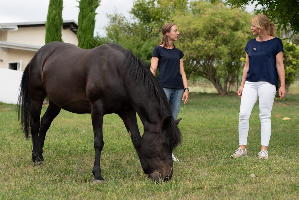 freie Begegnung mit Pferd im Coaching 